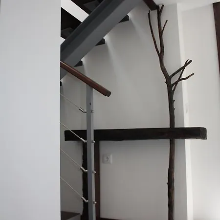 Casas Do Bairrinho Venkovský dům Sambade