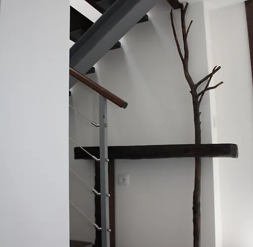 Casas Do Bairrinho 乡村民宿 Sambade